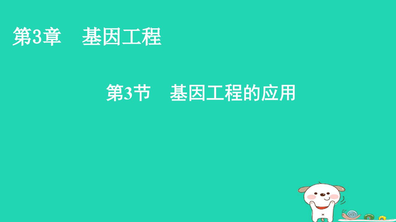 2022_2023学年新教材高中生物第3章基因工程第3节基因工程的应用课件新人教版选择性必修31