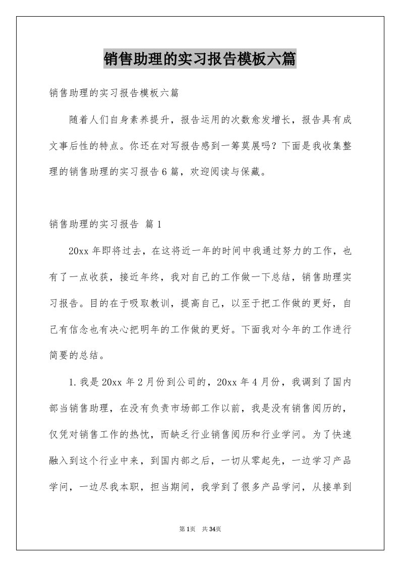 销售助理的实习报告模板六篇