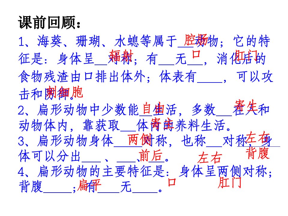 线形动物和环节动物（共40张PPT）