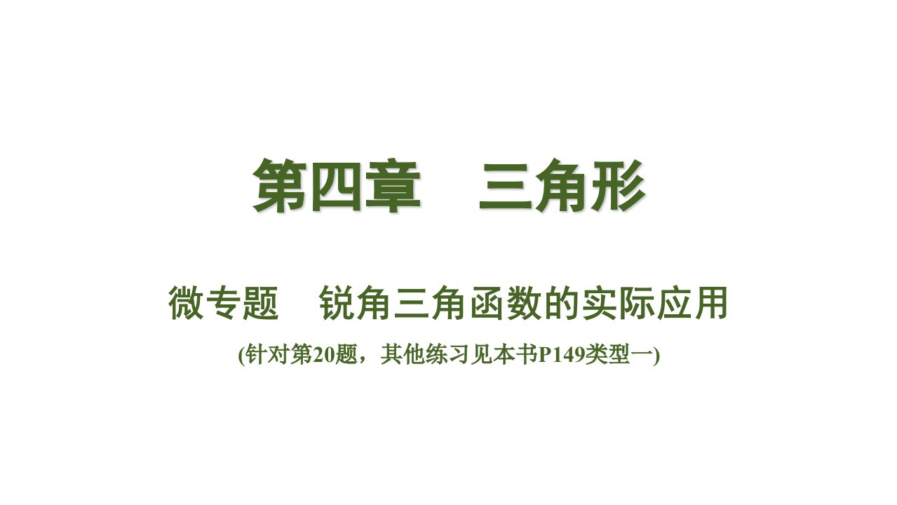 中考数学总复习考点系统复习微专题