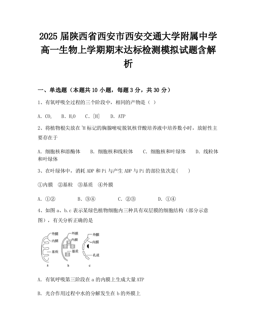 2025届陕西省西安市西安交通大学附属中学高一生物上学期期末达标检测模拟试题含解析