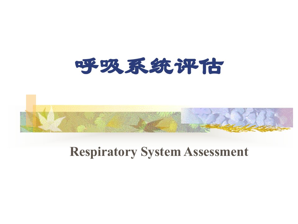 45呼吸系统评估