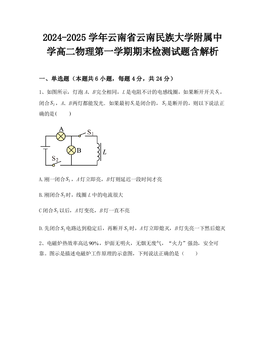 2024-2025学年云南省云南民族大学附属中学高二物理第一学期期末检测试题含解析