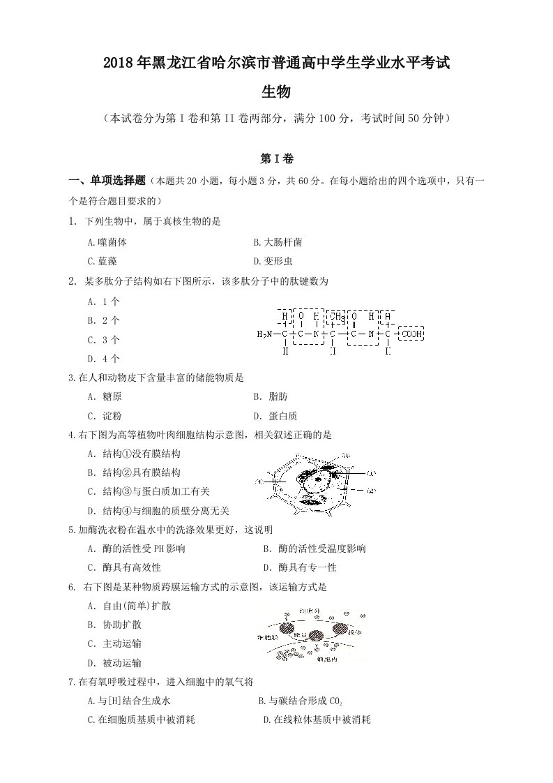 黑龙江省哈尔滨市2018-2019学年普通高中学生学业水平模拟考试生物试题-附答案精品