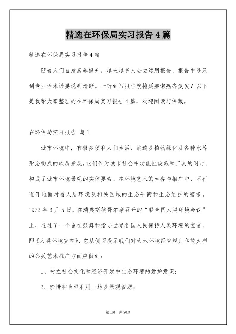 在环保局实习报告4篇