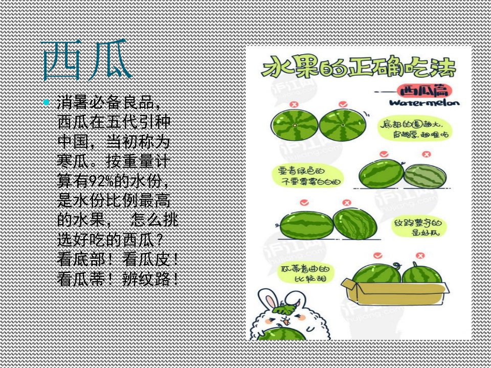 9大常见水果的正确吃法课件