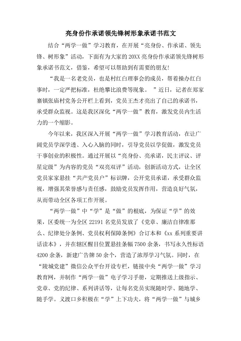 亮身份作承诺当先锋树形象承诺书范文