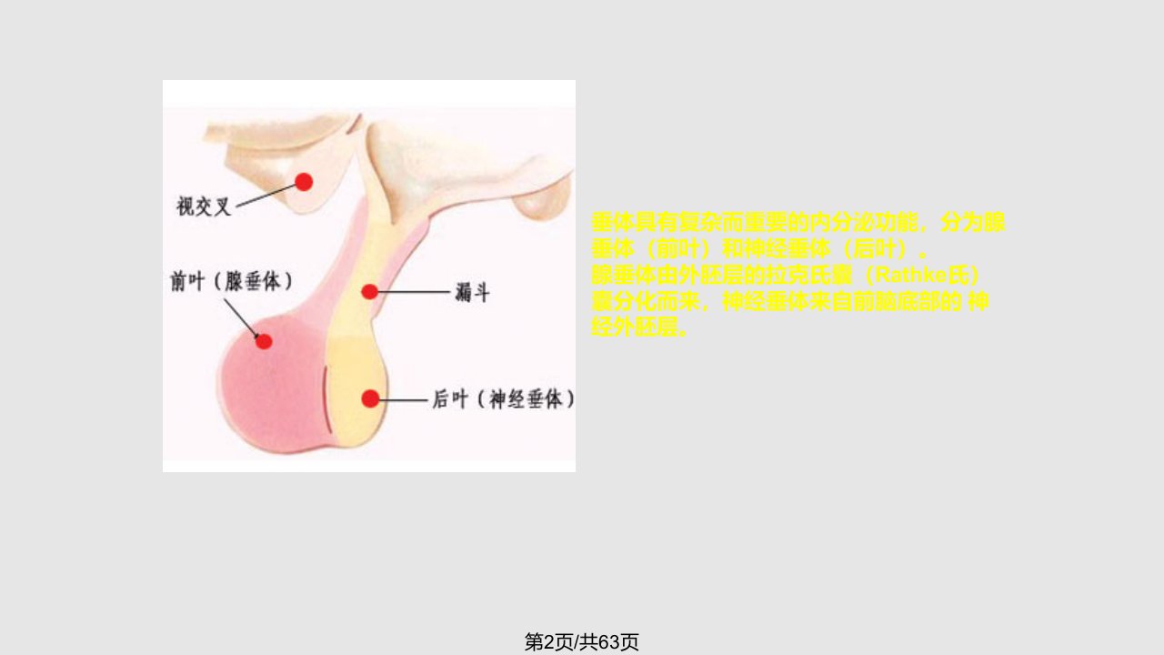 鞍区病变鉴别