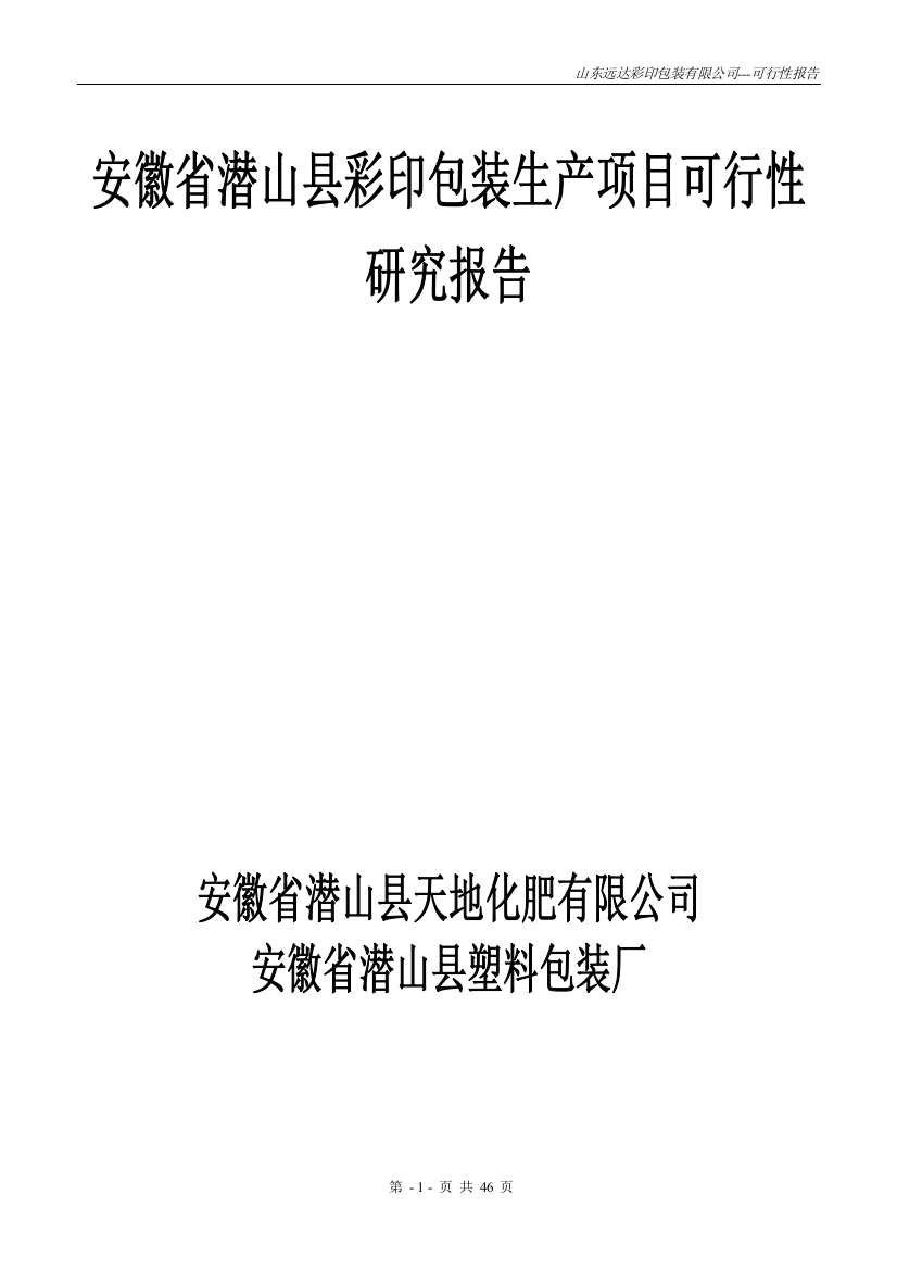 山东远达彩印包装有限公司彩印包装生产项目可行性研究报告