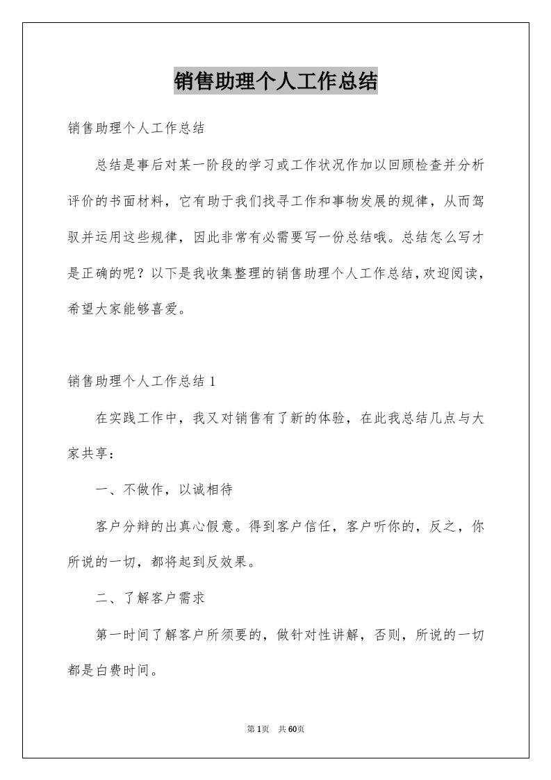 销售助理个人工作总结例文