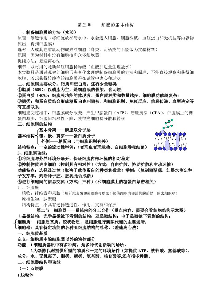 高一生物必修一第3-4章知识点总结资料