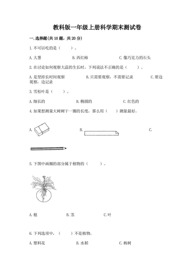 教科版一年级上册科学期末测试卷带精品答案