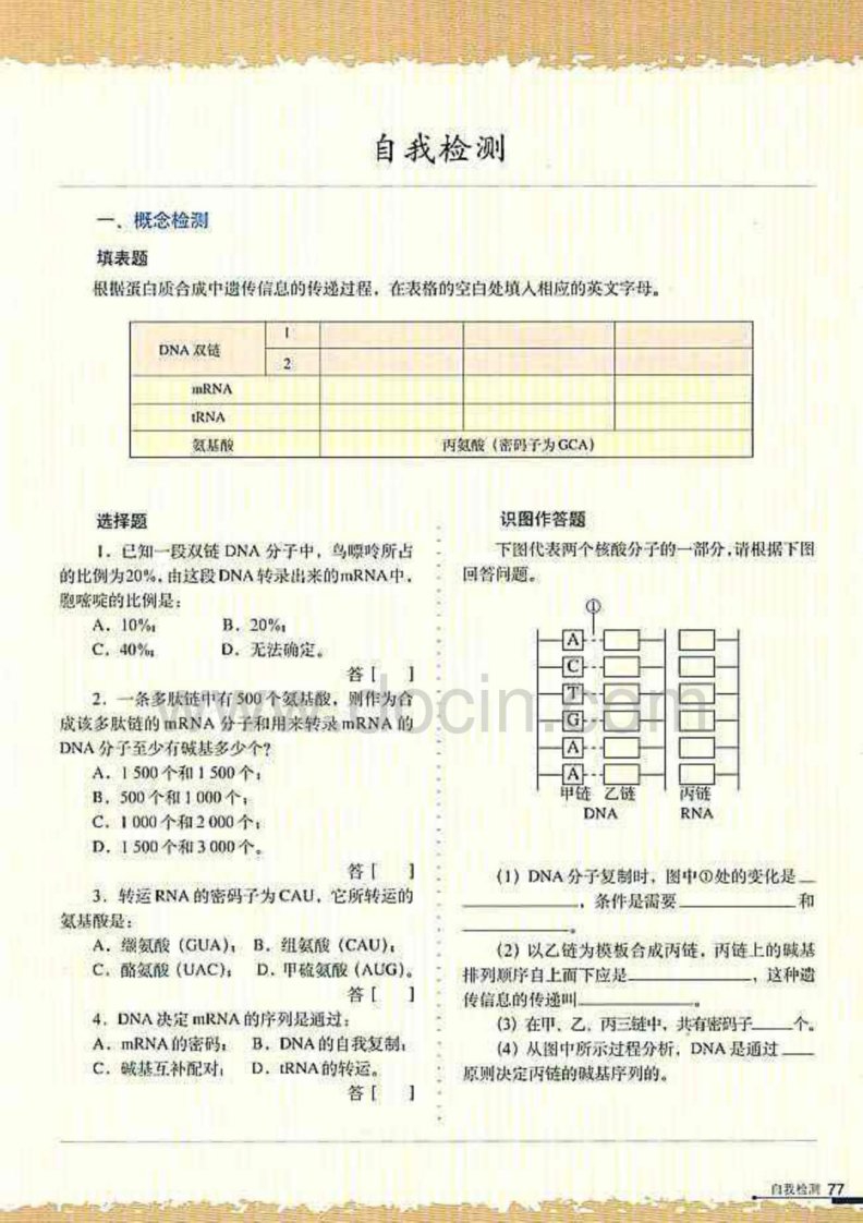 高中生物人教版电子课本必修2(下)