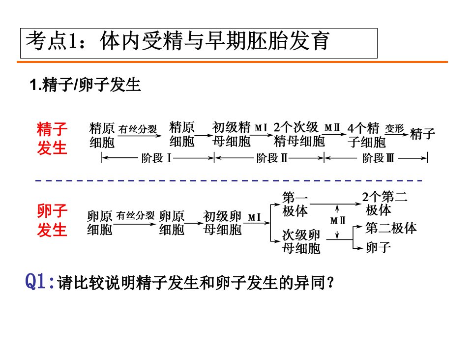 胚胎工程高三一轮复习公开课