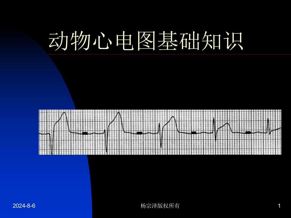 动物心电图基础知识