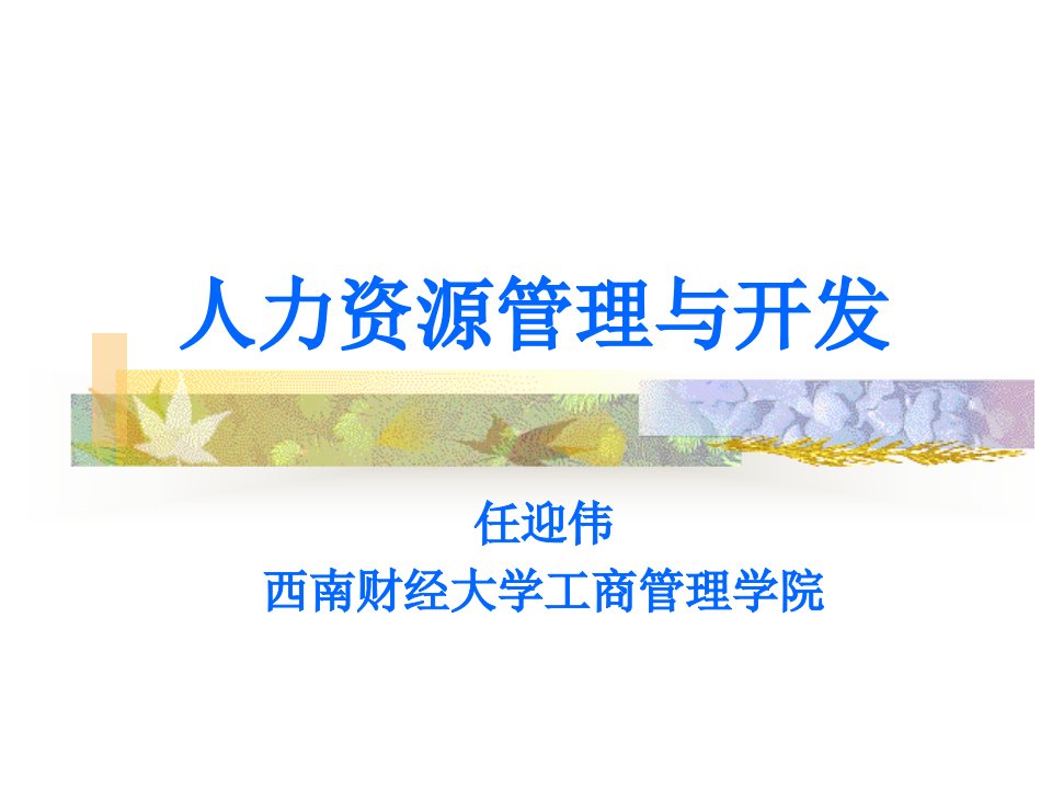 人力资源管理与开发1(西南财经大学,任迎伟)