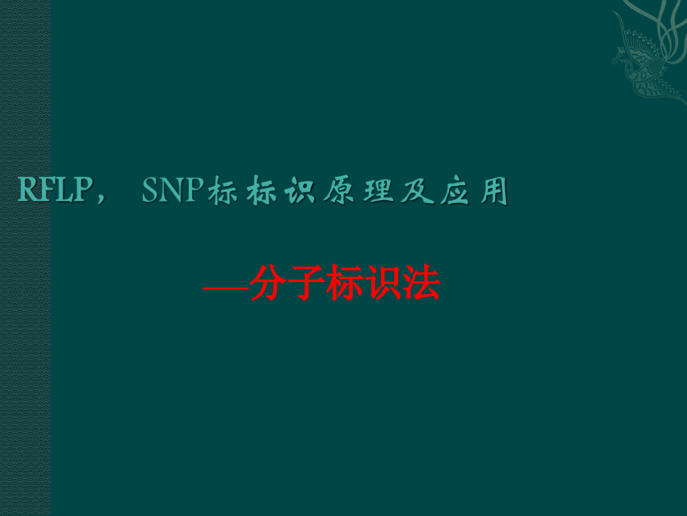 SNP标记