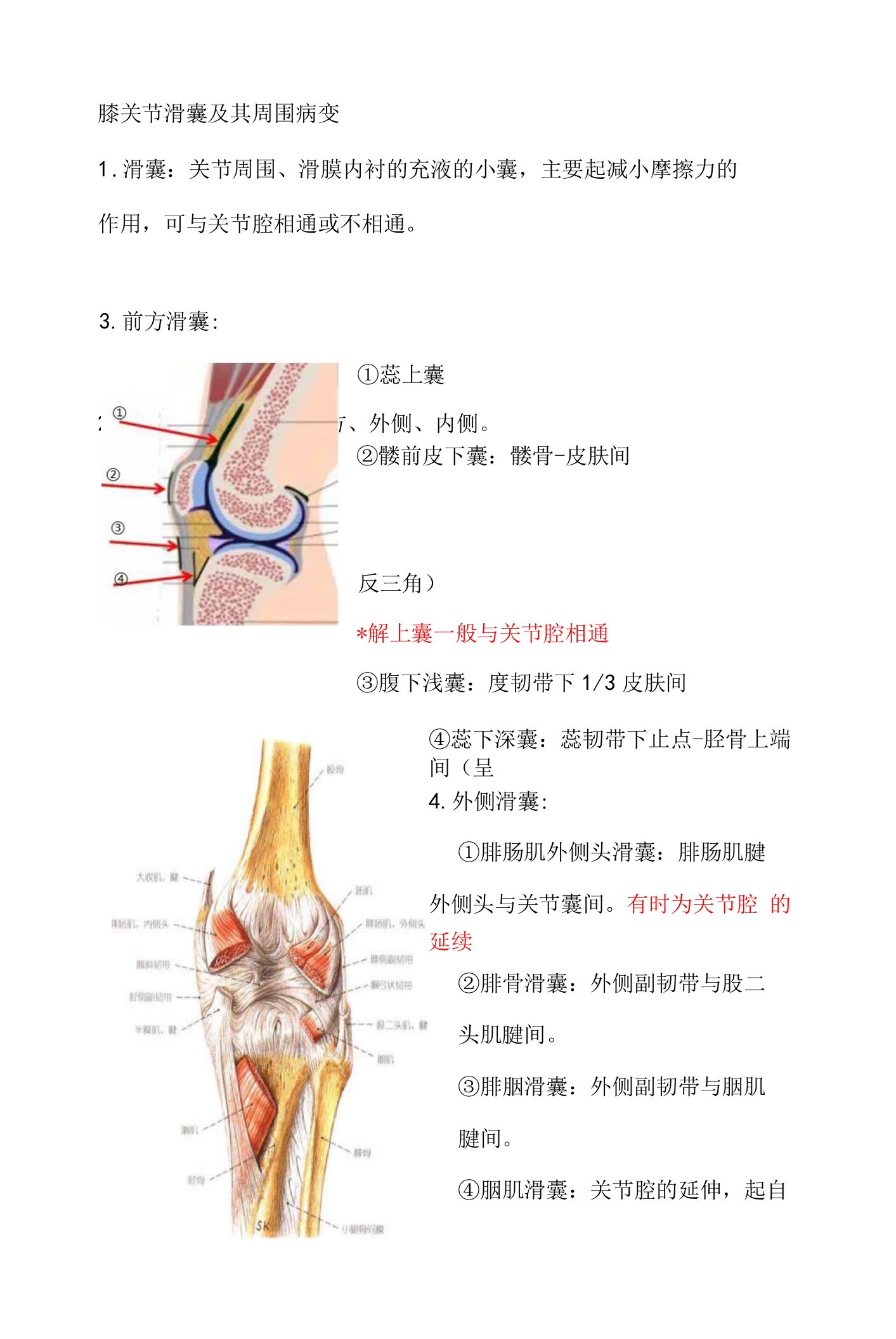 膝关节滑囊及其病变