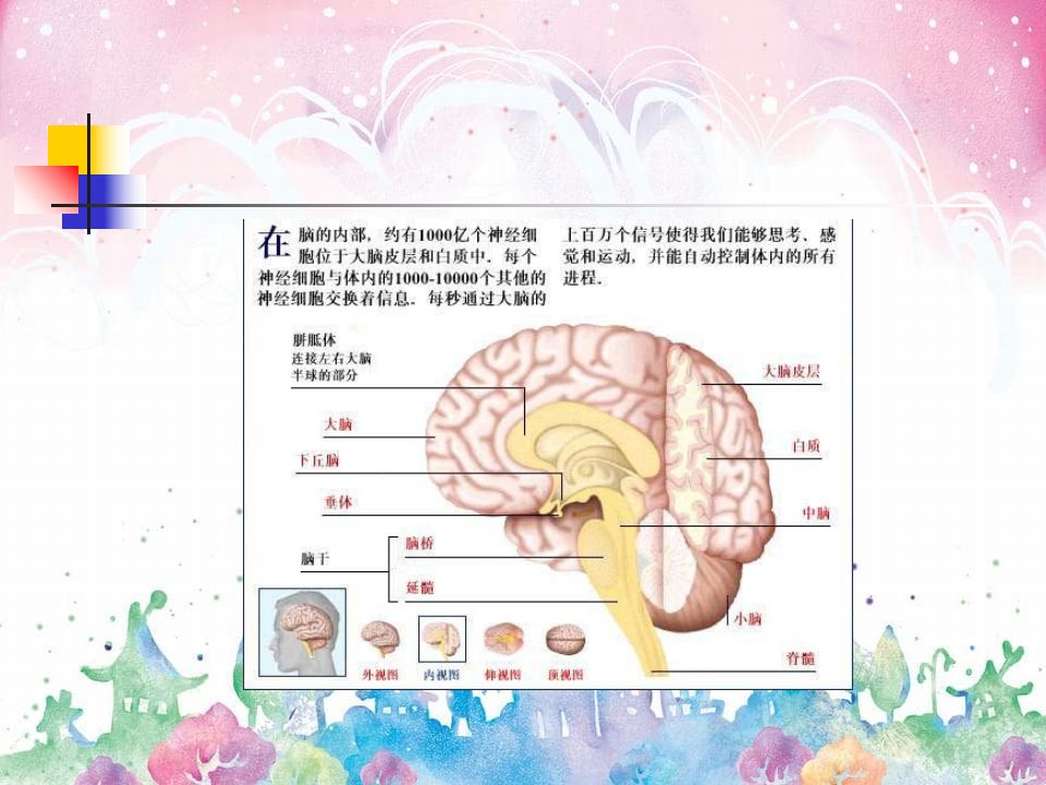 临床医学4脑血管疾病的护理