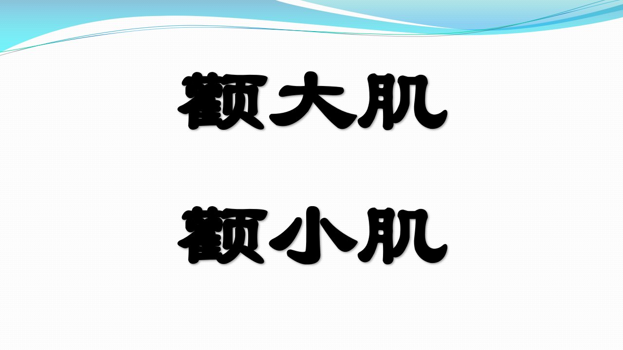 颧大肌、颧小肌课件