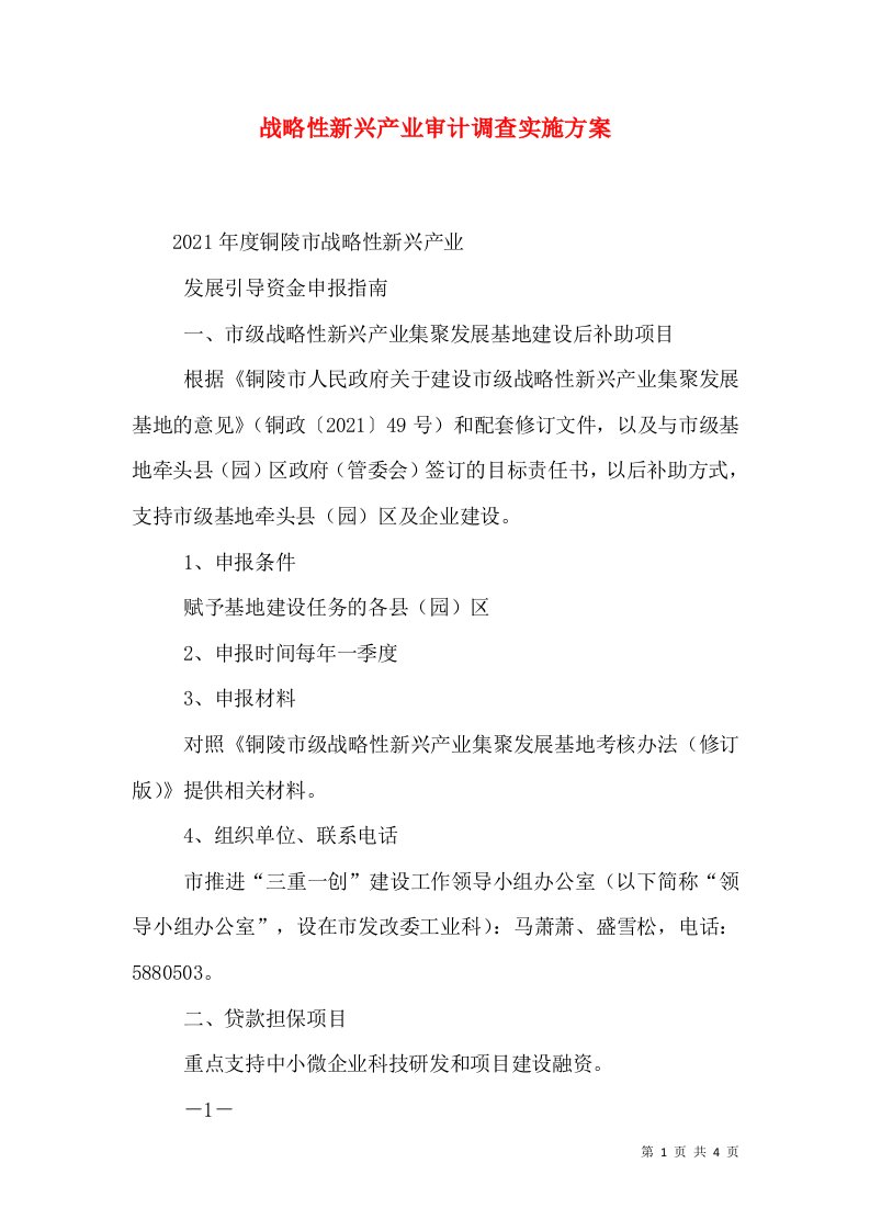 战略性新兴产业审计调查实施方案