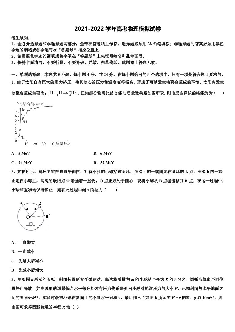 2022届上海闵行区高三适应性调研考试物理试题含解析