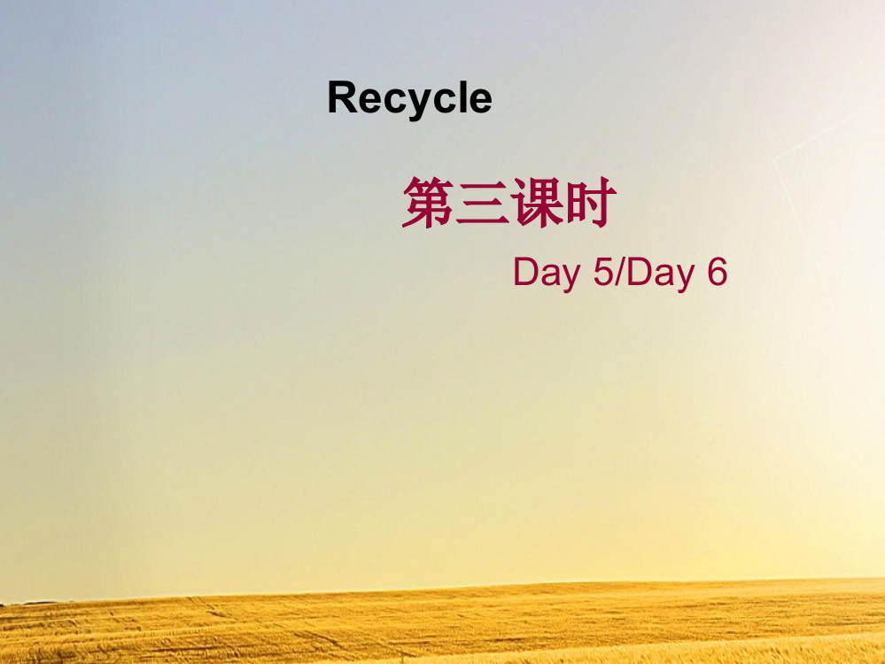 新版PEP六年级下册Recycle-Day5-Day6课件