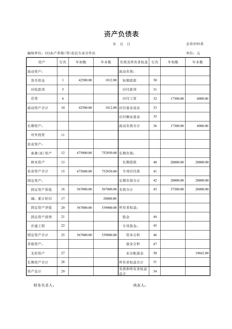 农民专业合作社资产负债表及损益表excel版