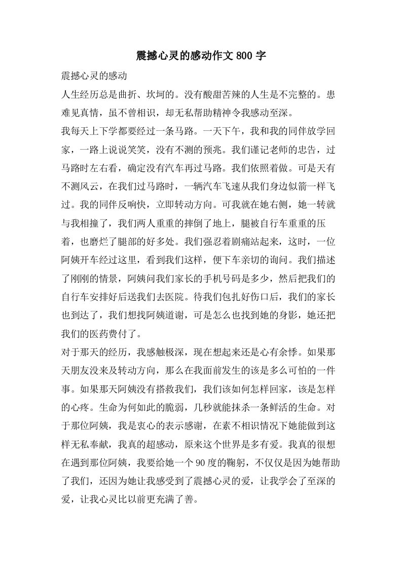 震撼心灵的感动作文800字