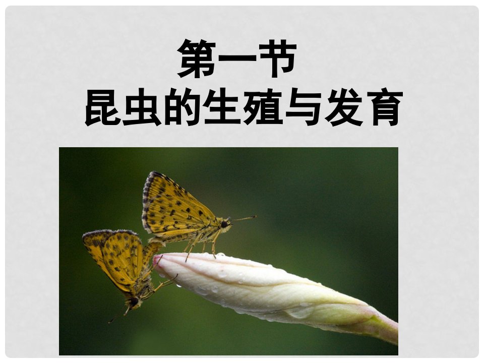 八年级生物上册