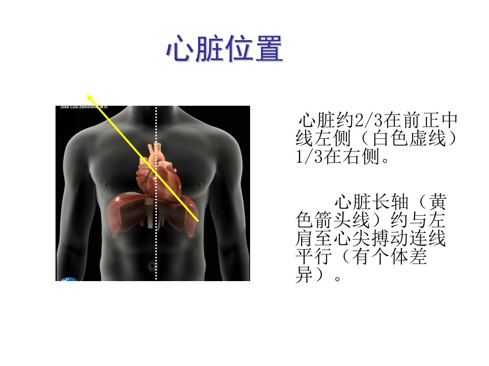 超声心动图常用切面的打法图解讲义