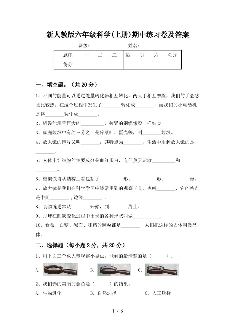 新人教版六年级科学上册期中练习卷及答案