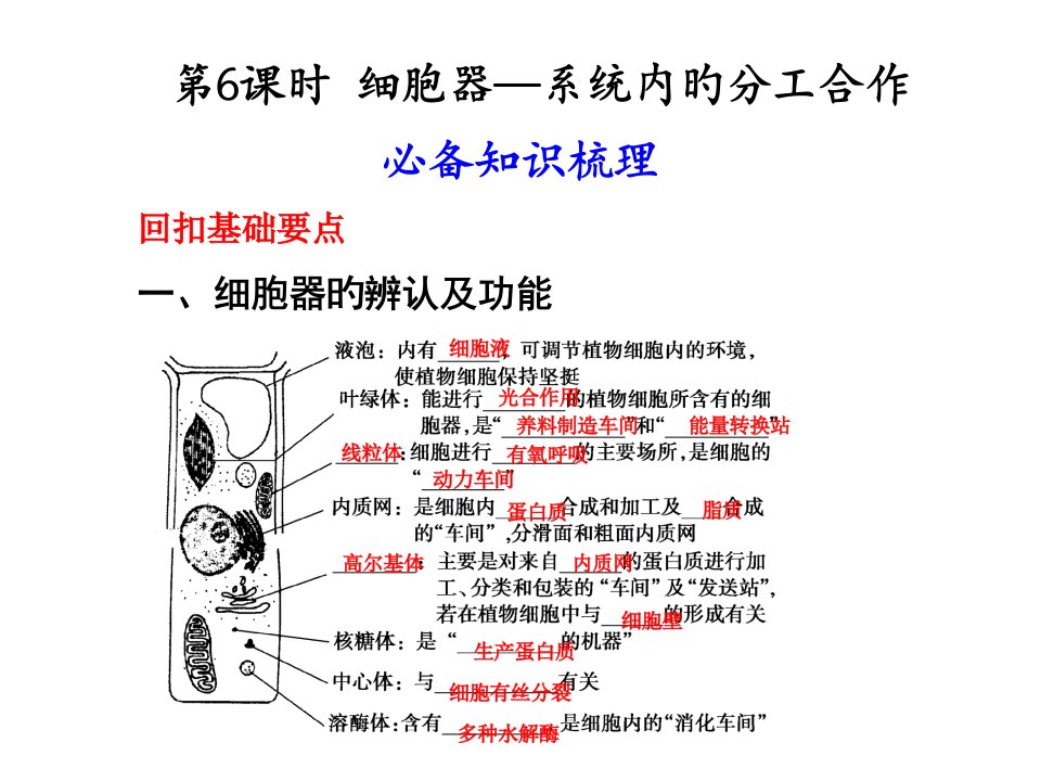 生物高考复习细胞器系统内的分工合作省名师优质课赛课获奖课件市赛课一等奖课件