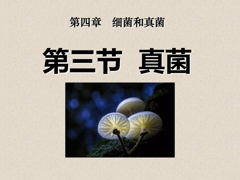 八年级生物真菌市公开课一等奖市赛课获奖课件