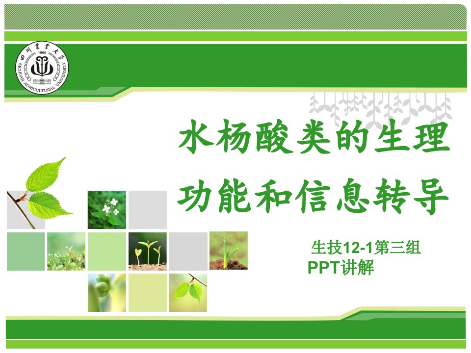 植物生理学水杨酸ppt