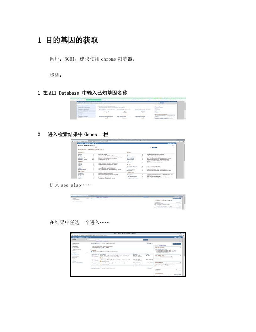 引物设计专题