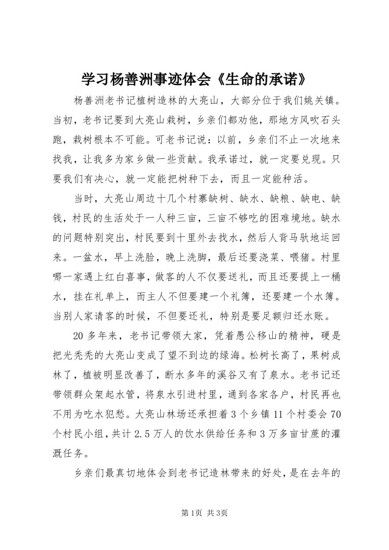 7学习杨善洲事迹体会《生命的承诺》