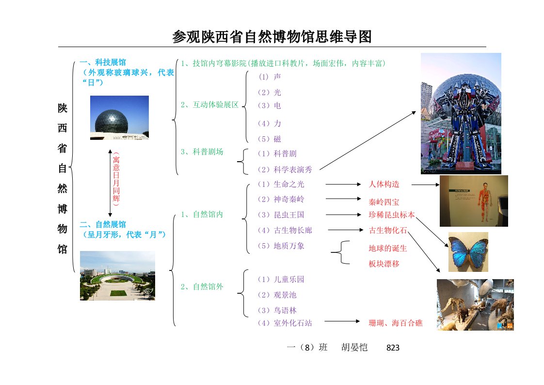 陕西省自然博物馆参观思维导图