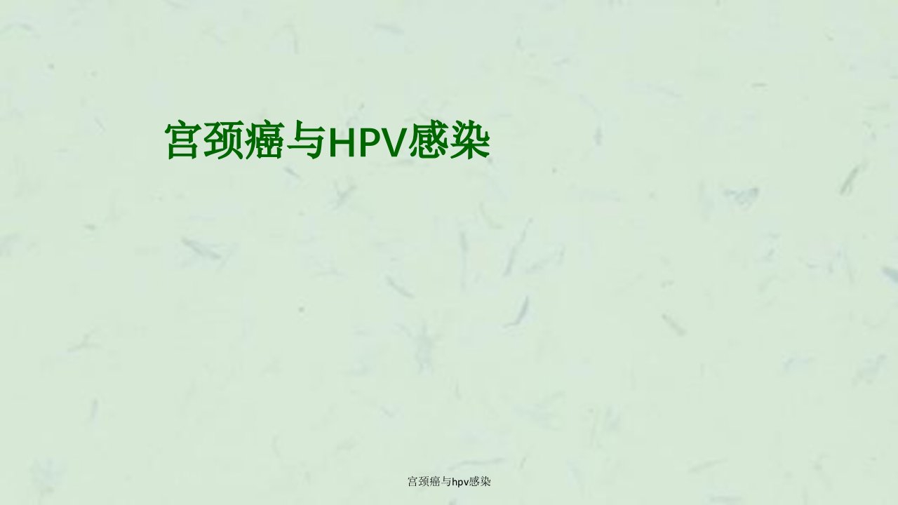 宫颈癌与hpv感染课件