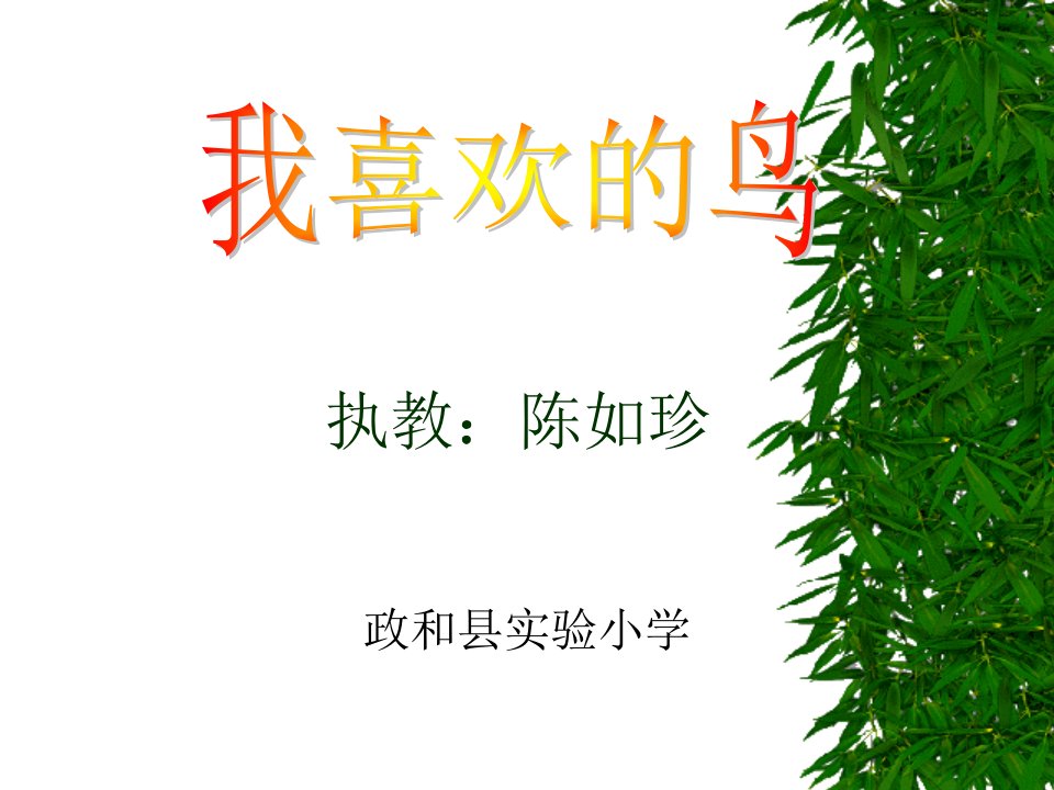 我喜欢的鸟