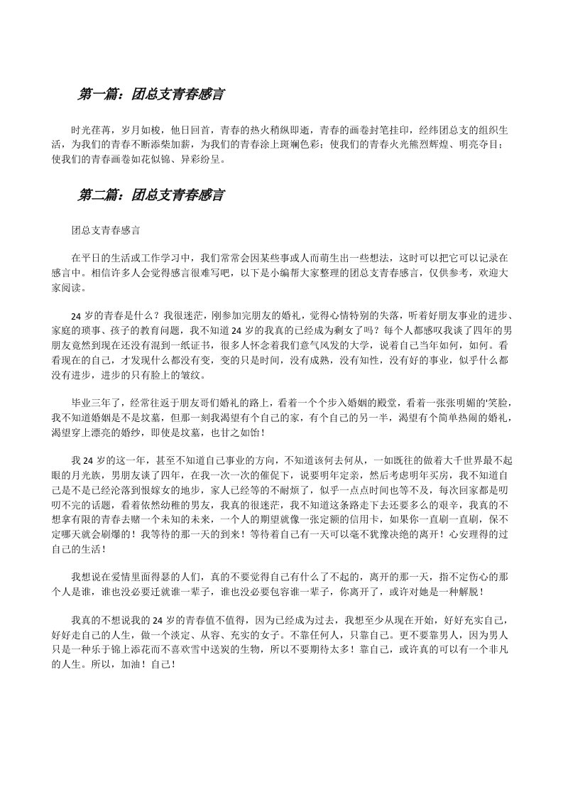 团总支青春感言[修改版]