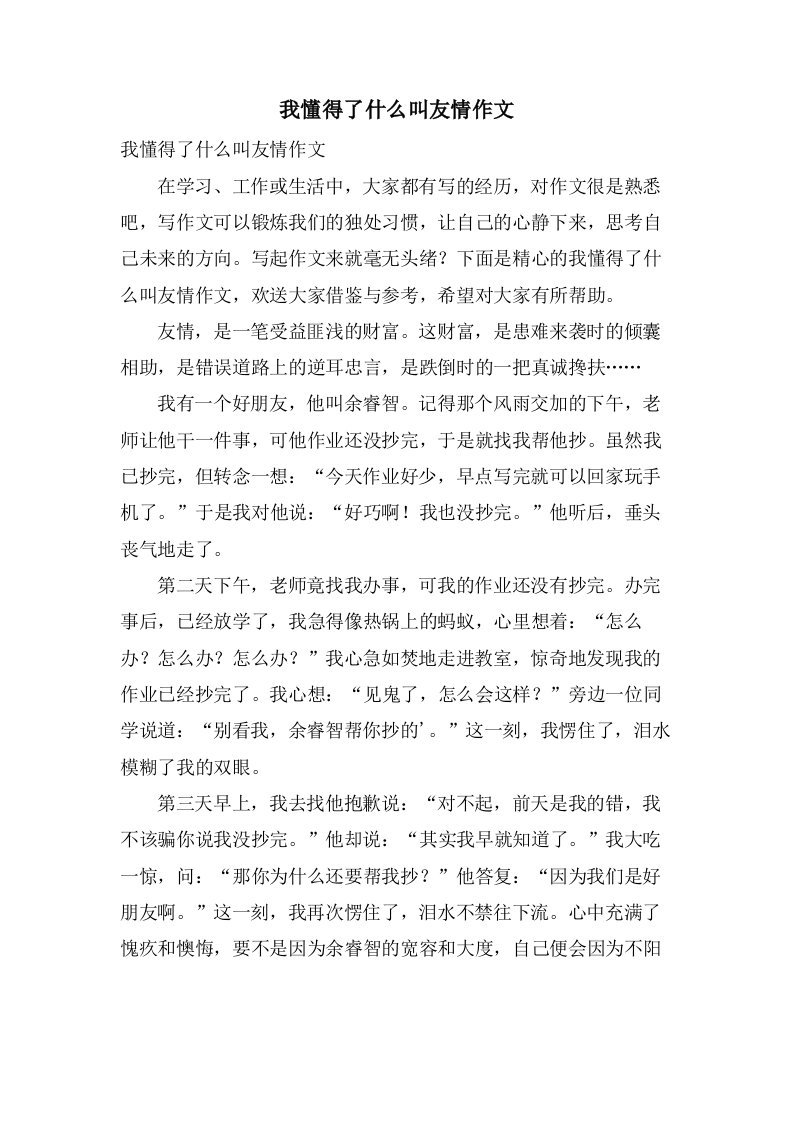 我懂得了什么叫友情作文