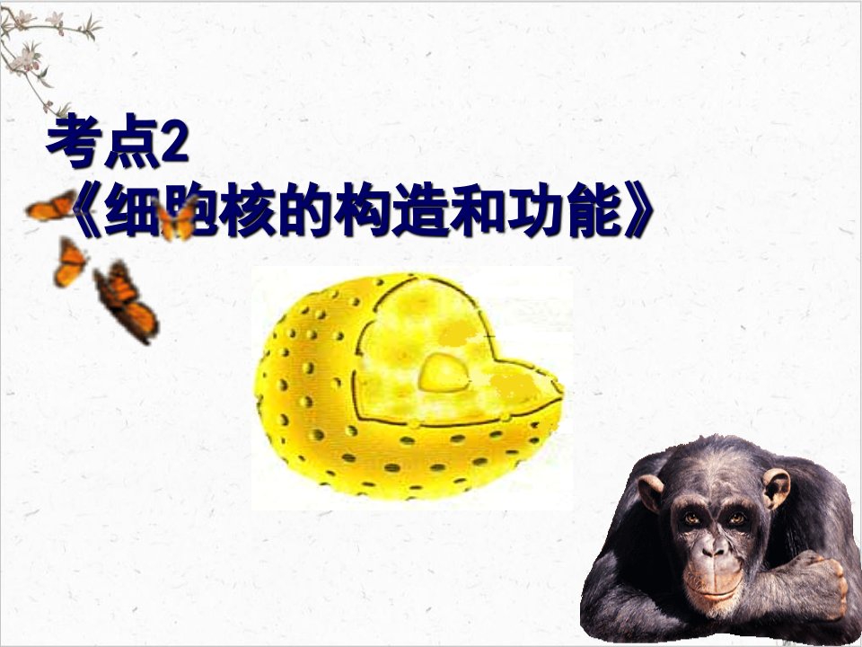 考点细胞核的结构和功能高三生物高考一轮复习课件市公开课一等奖市赛课获奖课件