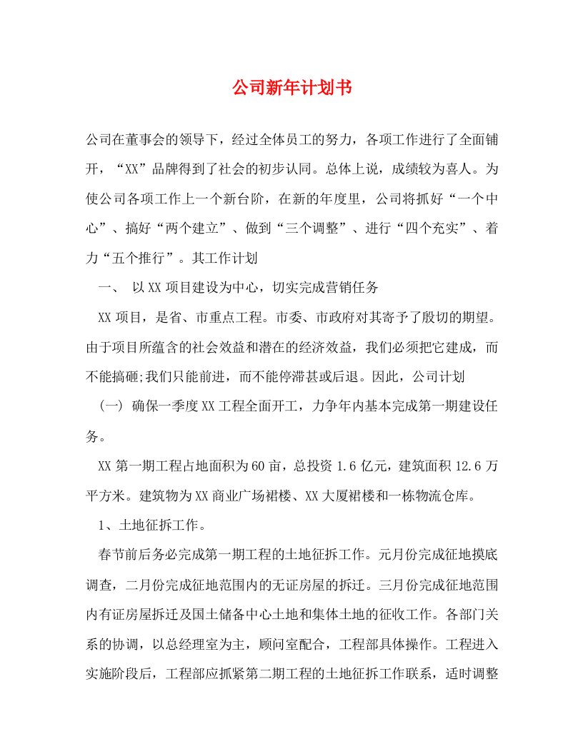 精编公司新年计划书