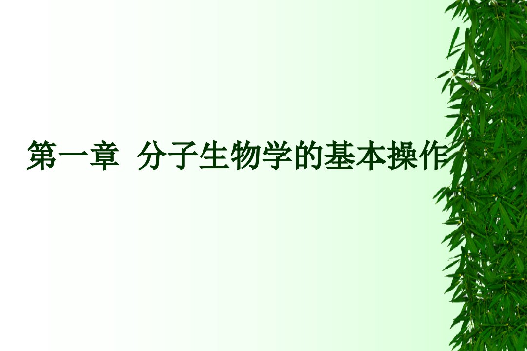 第一章分子生物学的基本操作