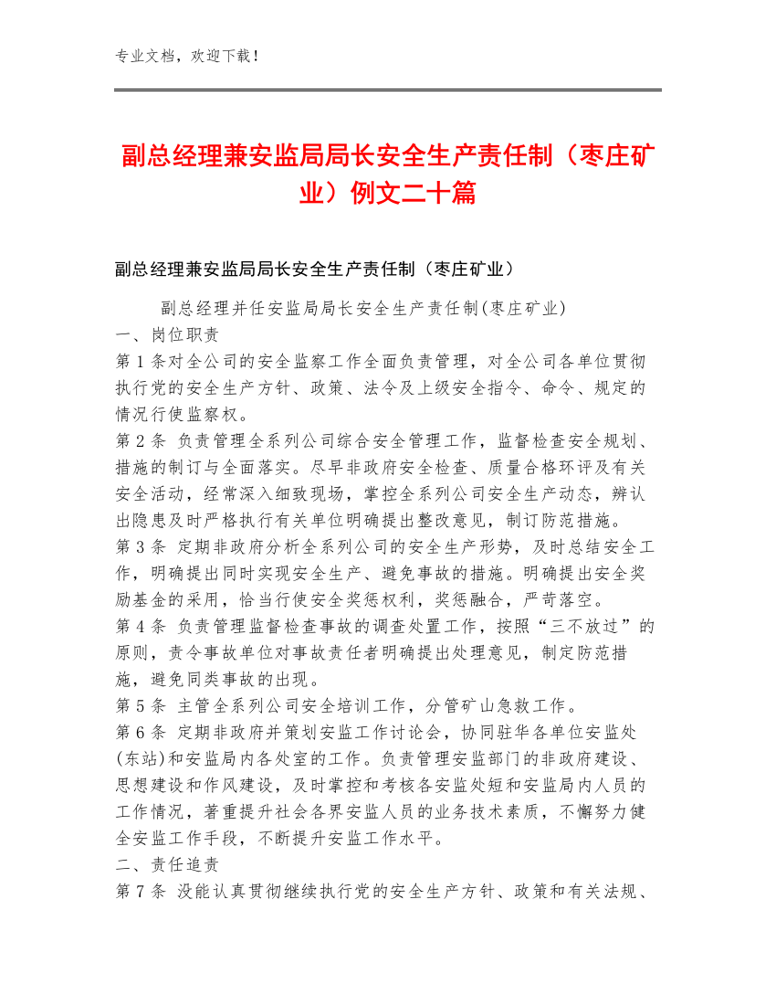 副总经理兼安监局局长安全生产责任制（枣庄矿业）例文二十篇