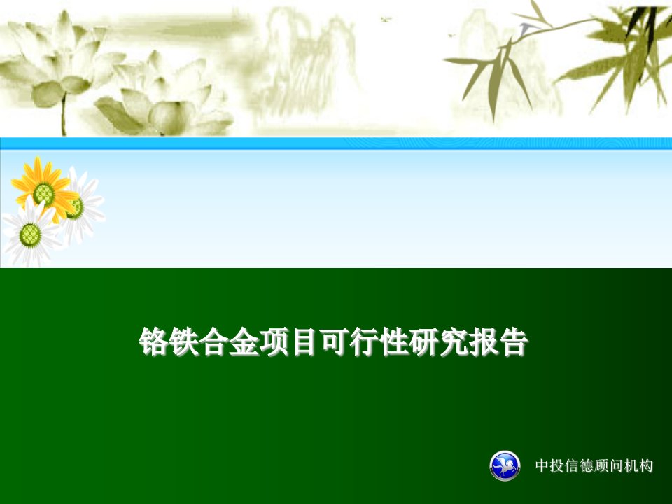 铬铁合金项目可行性研究报告