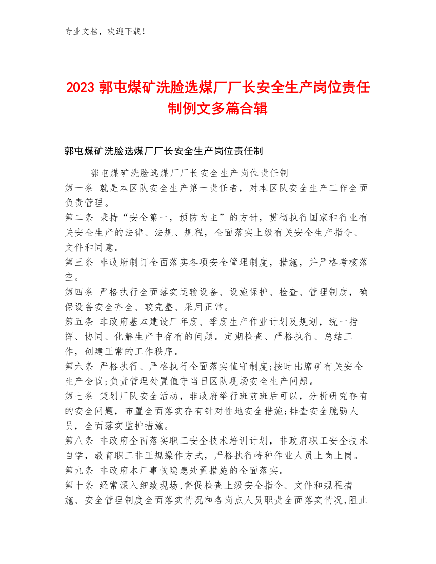 2023郭屯煤矿洗脸选煤厂厂长安全生产岗位责任制例文多篇合辑