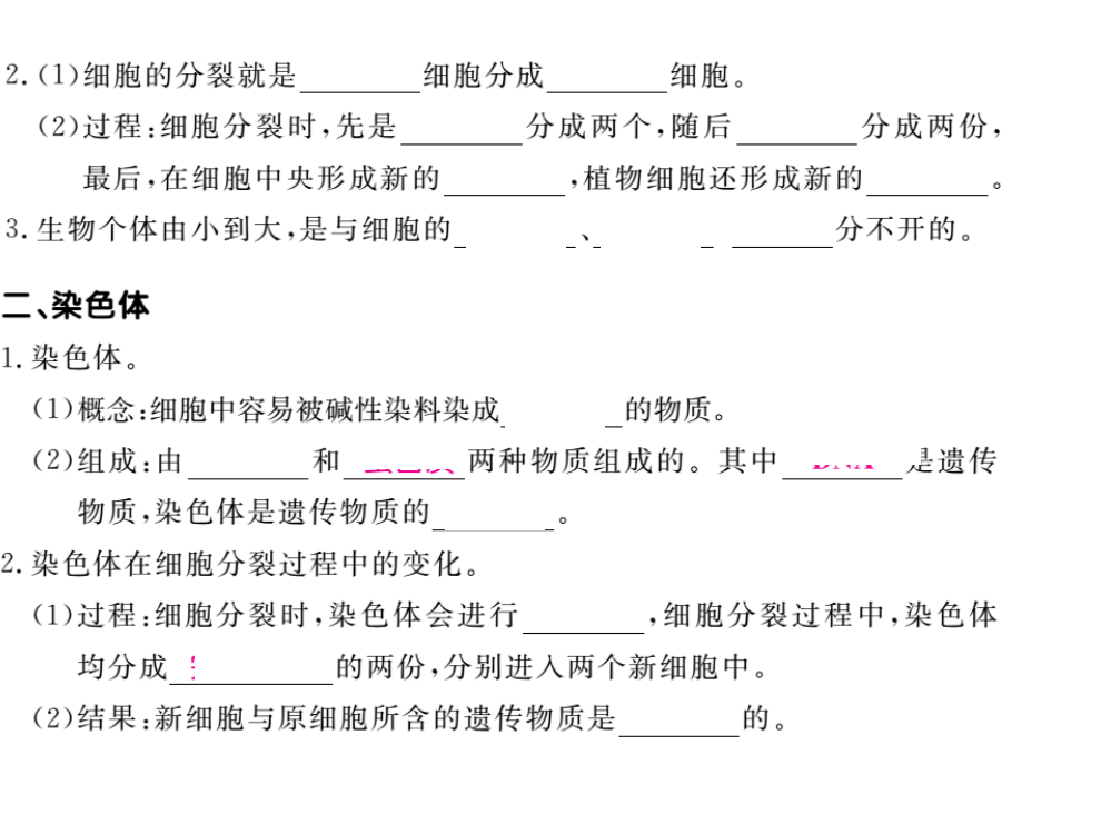 222动物体的结构层次教学课件