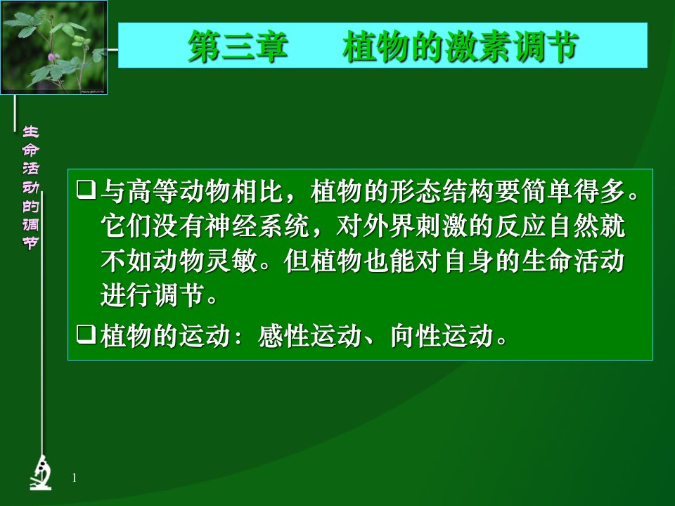 植物的激素调节